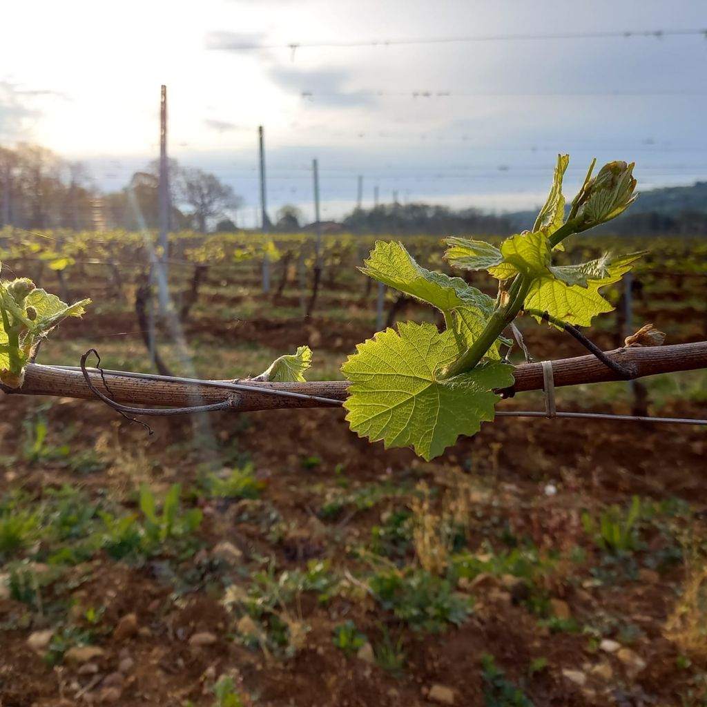 Lettre Infos - Avril 2025