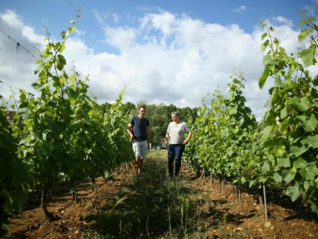 Berengère et Julien dans les vignes